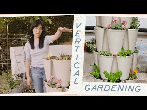 $100 VERTICAL GARDEN! Before & After 2 Weeks