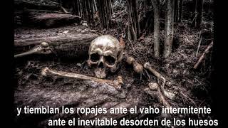 33. Sonic Youth - Protect Me You