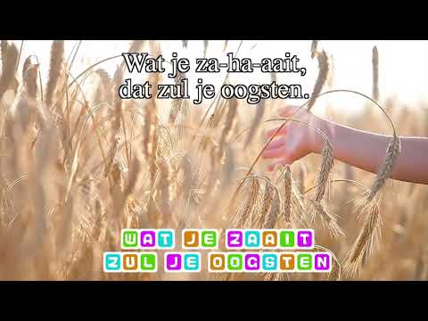 Wat je zaait zul je oogsten