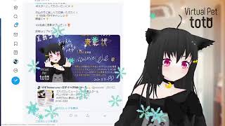 【SHOWROOM】totoฅ•ω•ฅとある猫カフェ＜ミラー配信＞