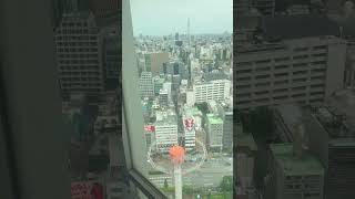 🇯🇵エレベーターから東京一望