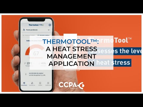 ThermoTool