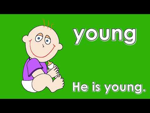 04  Learn Adjectives