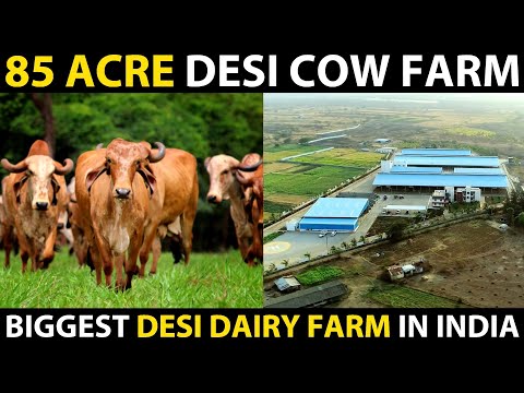 , title : '85 ACRE DESI COW FARM..! Biggest Desi High tech Dairy Farm in India | Mr. Milk'