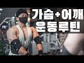 터지기 1보 직전 가슴&어깨&삼두 루틴 | 작은빌더정권