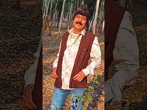 tu laali hai savere wali | asha bhosle, kishre kumar#youtubeshortsvedio#sk blog//