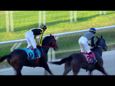 220102 c10 JOURNEY (BRZ)