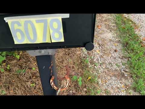 Adhesive Mailbox Numbers