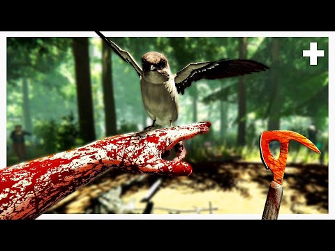 Going back to The Forest