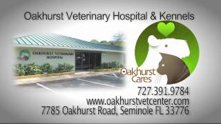 preview picture of video 'Oakhurst Veterinary Hospital, Seminole, FL'
