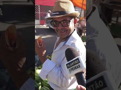 Feijão maduro em Jucati-PE