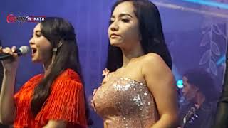Download lagu All Artis    NEWMONATA     blega MADURA mp3