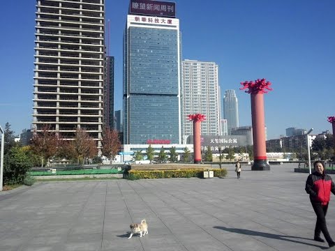 Шэньян (Shenyang),экскурсия по городу.