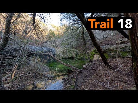 Little Forest Junior Trail Video Thumbnail