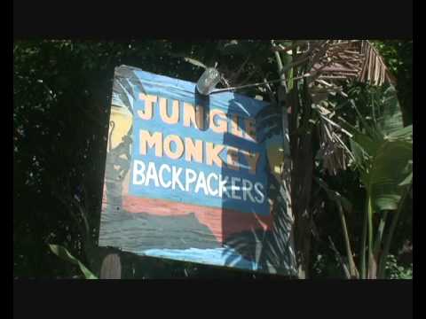 A  montage of the incomparable Jungle Monkey, Port St Johns (PART 1!)