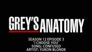 Grey's Anatomy S12E03 - Confused by Yukon Blonde