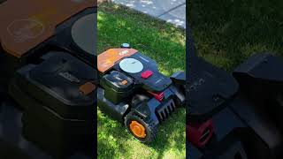 No More Mowing In The Arizona Heat - This Robot Saved Me!