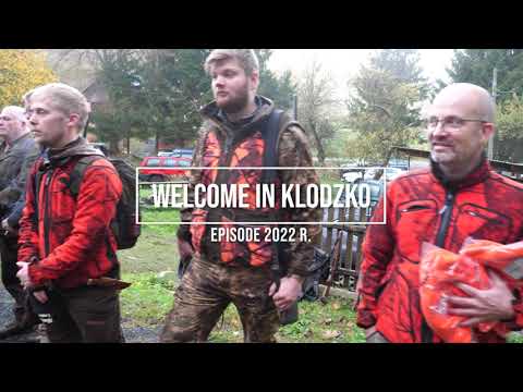 Driven hunt in Poland - Drivjagt i Polen - 2022, Klodzko