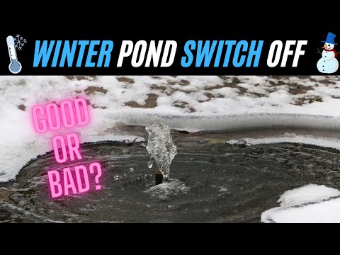 Switching OFF your pond in WINTER - Good or Bad? 😵😭😰😂