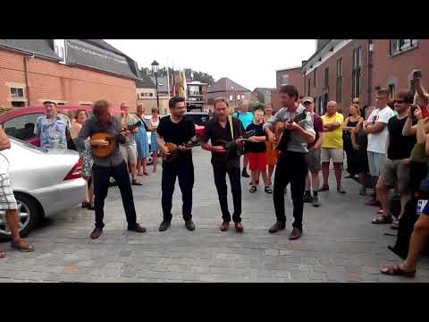 MANdolinMAN  Stage Gooik