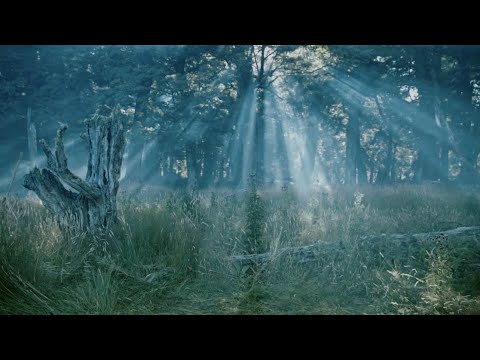 Lloyds Bank Epic Journey Behind the Scenes