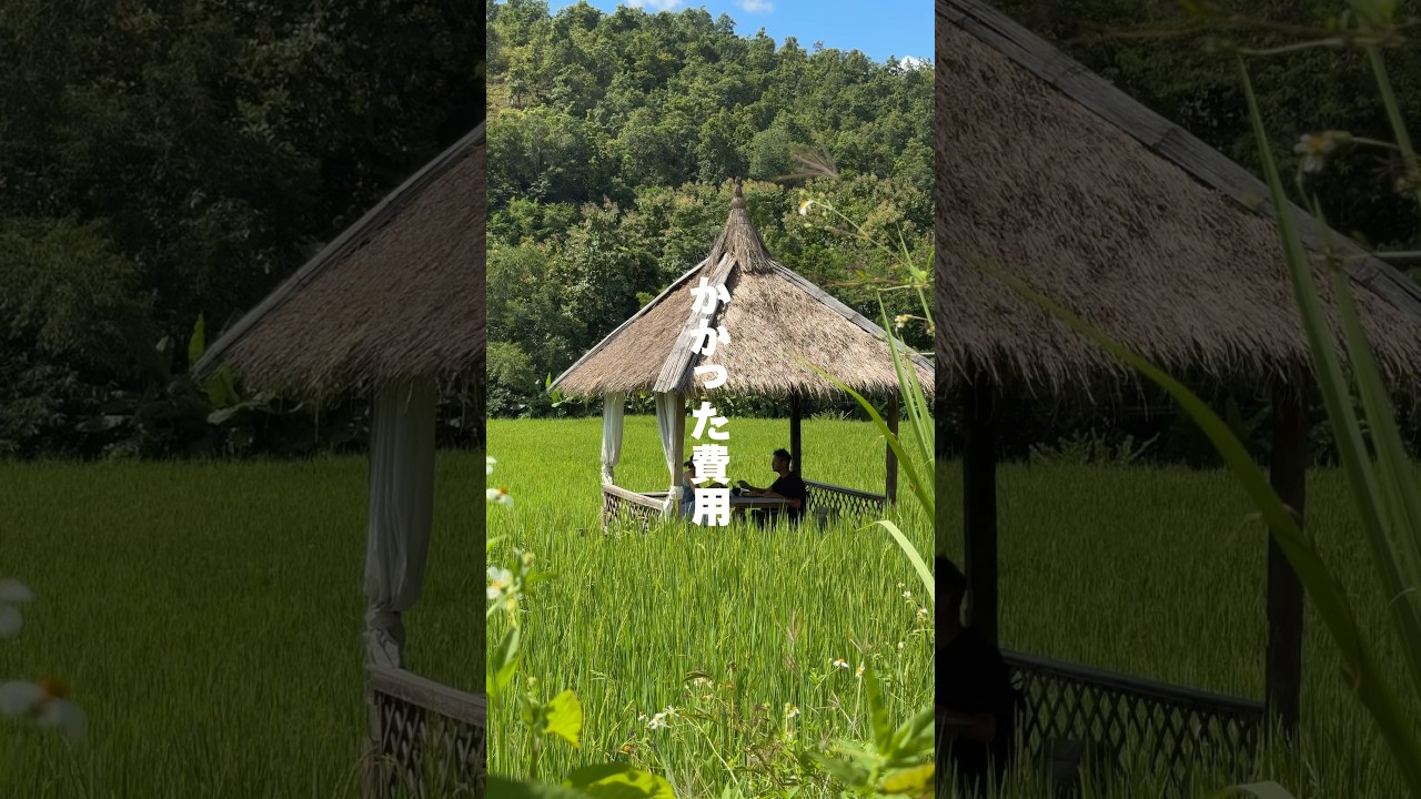 【費用公開】11泊12日の海外旅行！SNSを仕事に繋げるバイブル本も公開されたよ！