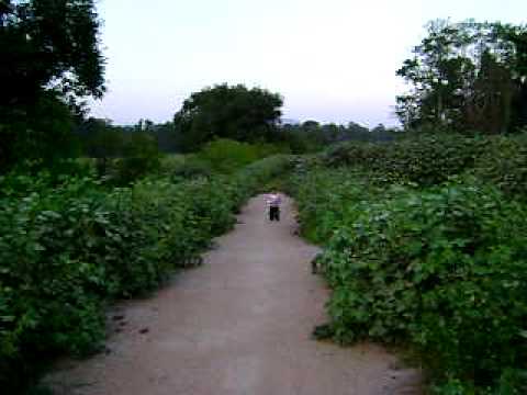 gold medal in olympic game 2028--------------  pucchu ,raigarh,india