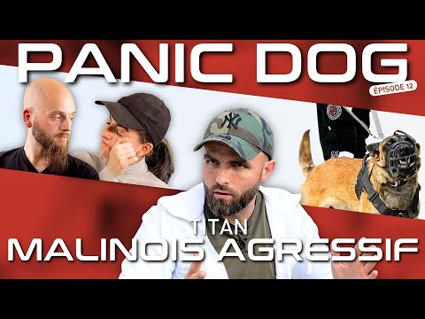 Ce MALINOIS AGRESSIF était CONDAMNÉ - Panic Dog Ep12