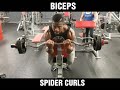 SPIDER CURLS #damianbaileyfitness #bicepcurl