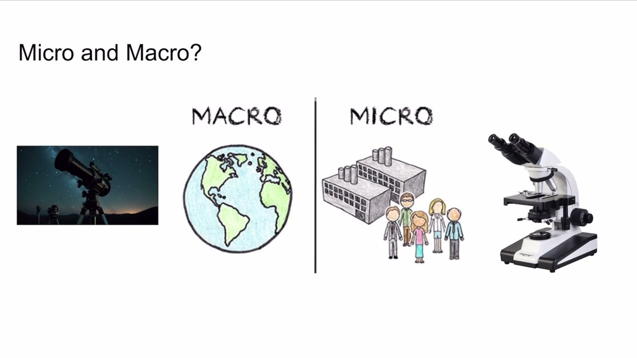 Introduction to Economics - IB DP Economics