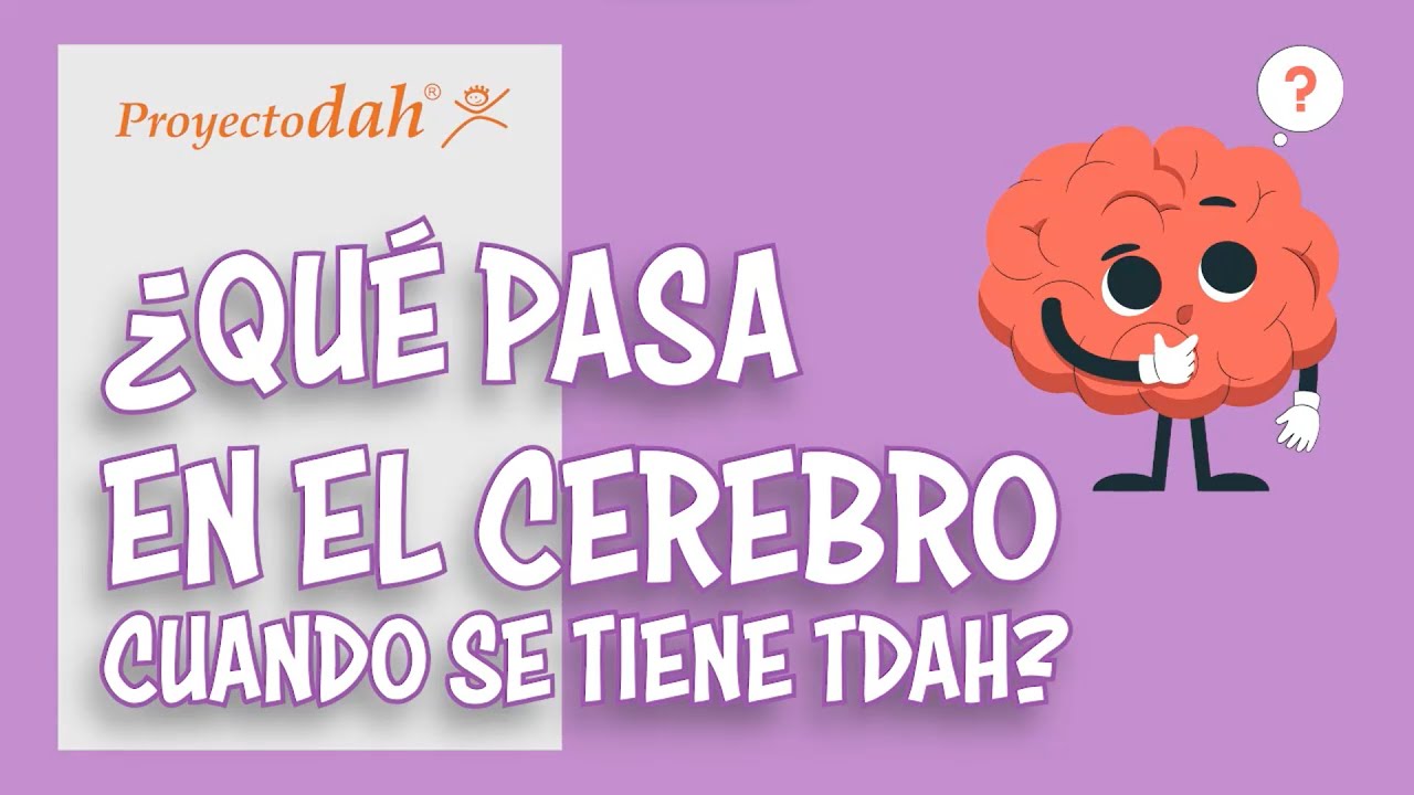 ¿Qué pasa en el cerebro 🧠 cuando se tiene TDAH?
