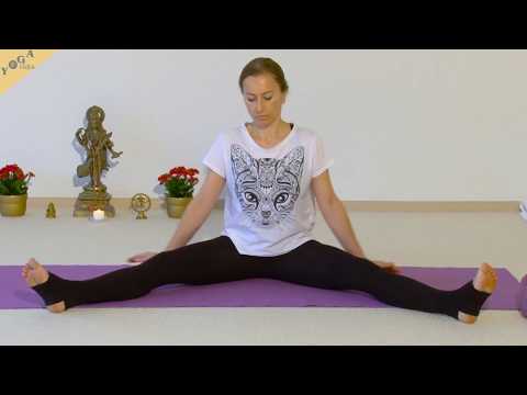 Yogaworkshop: Asana Exakt mit vielen Variationen von Sukadev