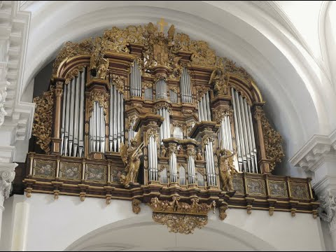 Sietze de Vries Fulda Improvisatie Orgelprobe Nun singt ein neues Lied Ps 118