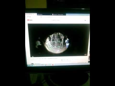 ANALISE DA A LENDA DA CRIATURA- O RETORNO