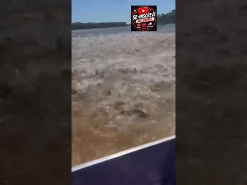 GOIÁS - FENÓMENO NATURAL • Um guia de pesca registrou um grande cardume de peixes