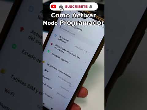 How to enable developer options in MIUI 13 and 14