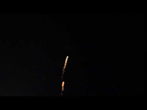 3inch Blue cycas tree