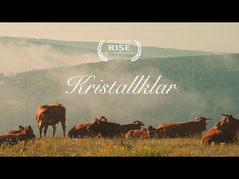 Kristallklar - A Fly Fishing Short Film