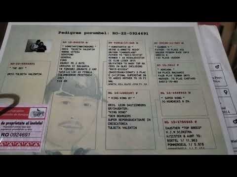 0924691-F.2022-Orig.Tulbiță Valentin(Rm.Vâlcea). Mulțumesc Vali🤝🙏🕊️