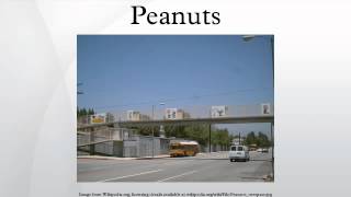 Peanuts