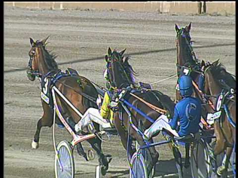 Trotto 07/05/2017 - 5ª corsa