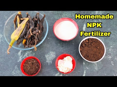 download lagu mp3 mp4 Phosphorus Free Baking Powder, download lagu Phosphorus Free Baking Powder gratis, unduh video klip Phosphorus Free Baking Powder