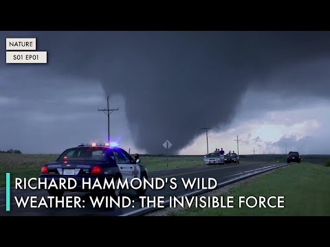 Richard Hammond's Wild Weather: Wind: The Invisible Force