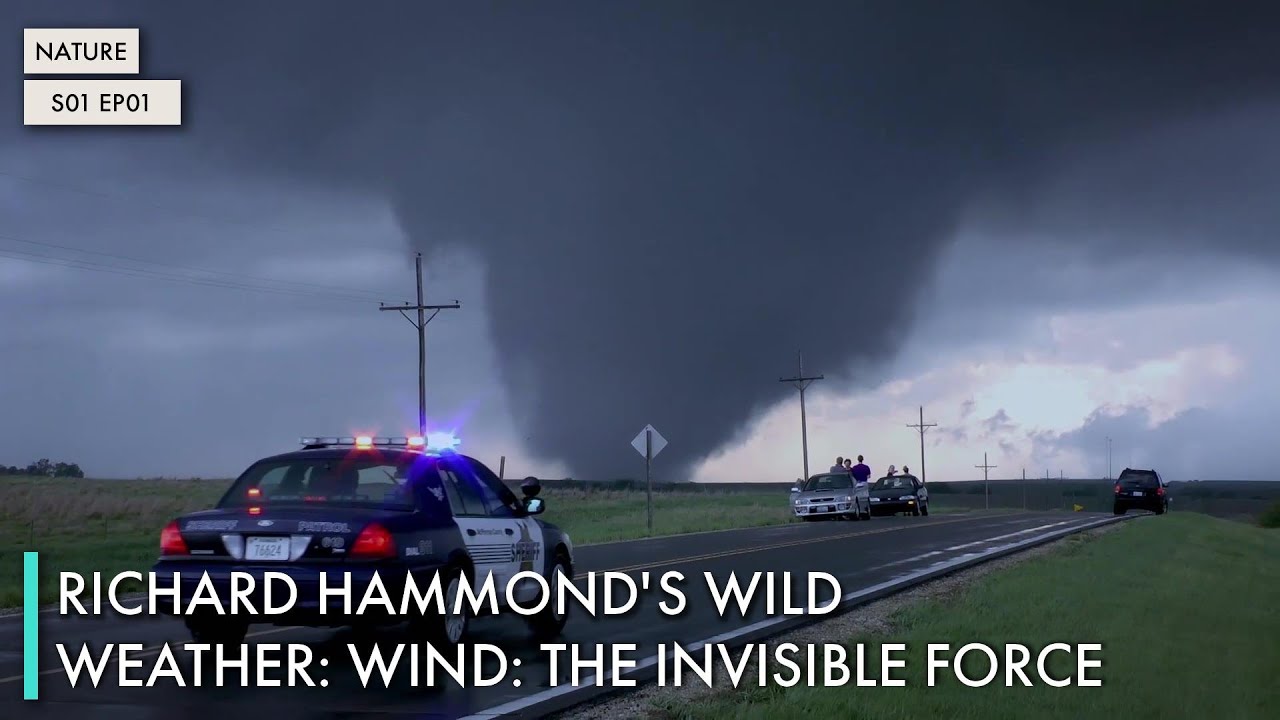 Wind: The Invisible Force
