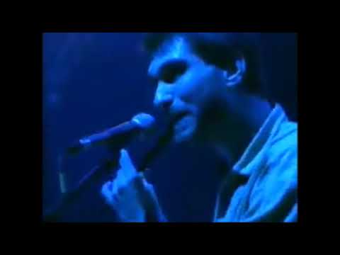 M É Z TÜNDÉREK THE FAIRIES THE HUNGARIAN WAY OF CELTIC MUSIC KONCERT FILM 2001 ÁPRILIS 19 Budapest.