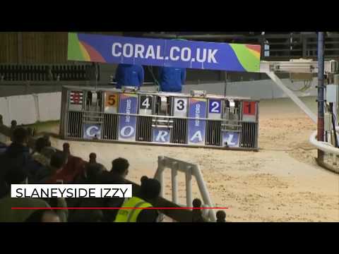 Slaneyside Izzy - Romford Marathon