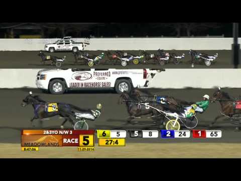 Meadowlands November 29, 2014 - Race 5 - Rockeyed Optimist