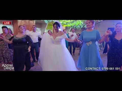 Formatia Andrei Despa - Mananc dragoste pe paine Live la nunta | Muzica de petrecere. Formatie nunta