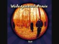 widespread panic-counting train cars