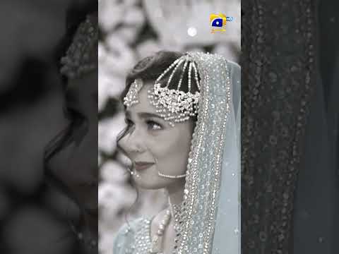 Behroop Mega Episode 96 & 97 Promo | Tonight at 8:00 PM Only On Har Pal Geo | #Behroop #shorts